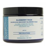 Blueberry Mask ~ Masque Blueberry de restauration nourrissant
